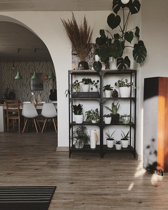 Білий стелаж ІКЕА в світлому інтер'єрі, елегантне рішення для зберігання та декору.