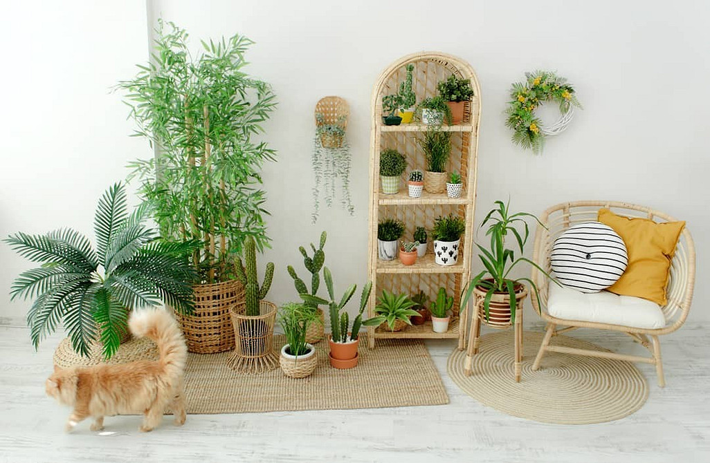 Крісло ІКЕА з яскравим акцентом в інтер'єрі: додайте кольору та індивідуальності вашому дому