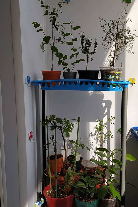 Прості металеві полиці для квітів на підвіконні в сучасному інтер'єрі.