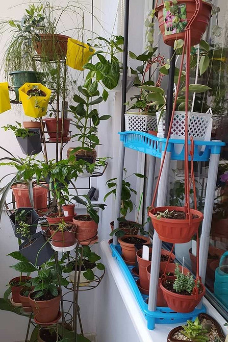 Квіткові полиці на підвіконні з різних матеріалів: дерево, метал, пластик, скло.