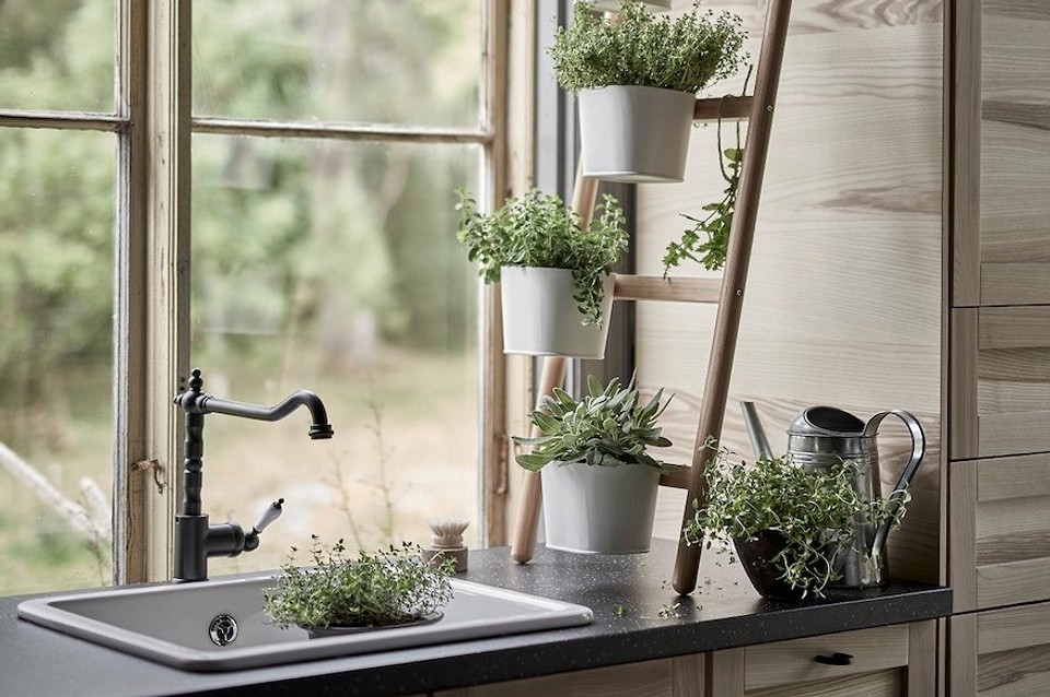 Квіткові стелажі на підвіконні: оптимальне використання простору для вашої колекції рослин.