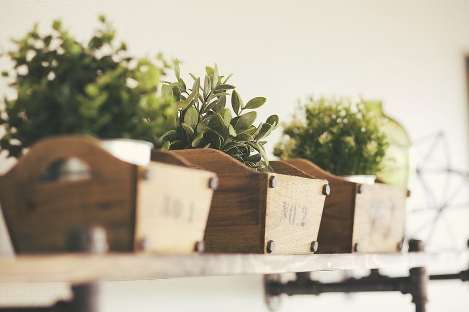 Дерев'яна стійка для квітів своїми руками: покрокова інструкція та матеріали для виготовлення