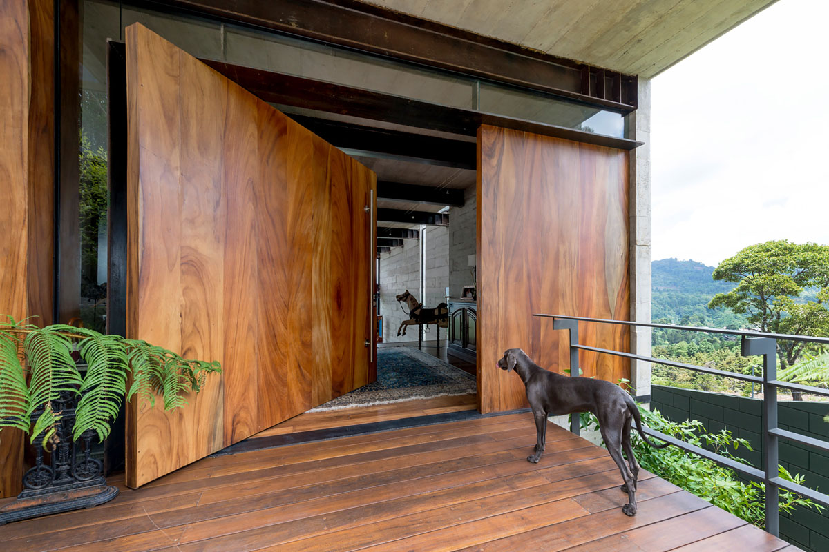 Дизайн вхідних дверей: вид зовні та зсередини, сучасний стиль