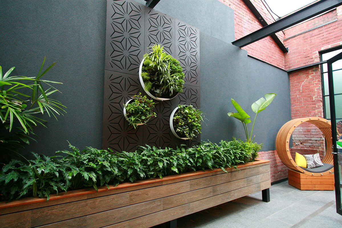 Сучасний інтер'єр з фітодизайном: велика кімнатна рослина у вітальні біля дивану.