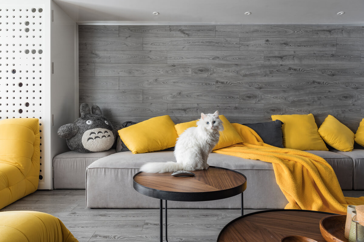 Стильний інтер'єр для домашніх тварин: зручні меблі та сучасний дизайн.