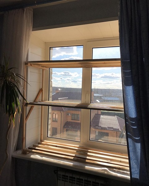 Готовий стелаж для розсади, встановлений на підвіконні, з молодими паростками.