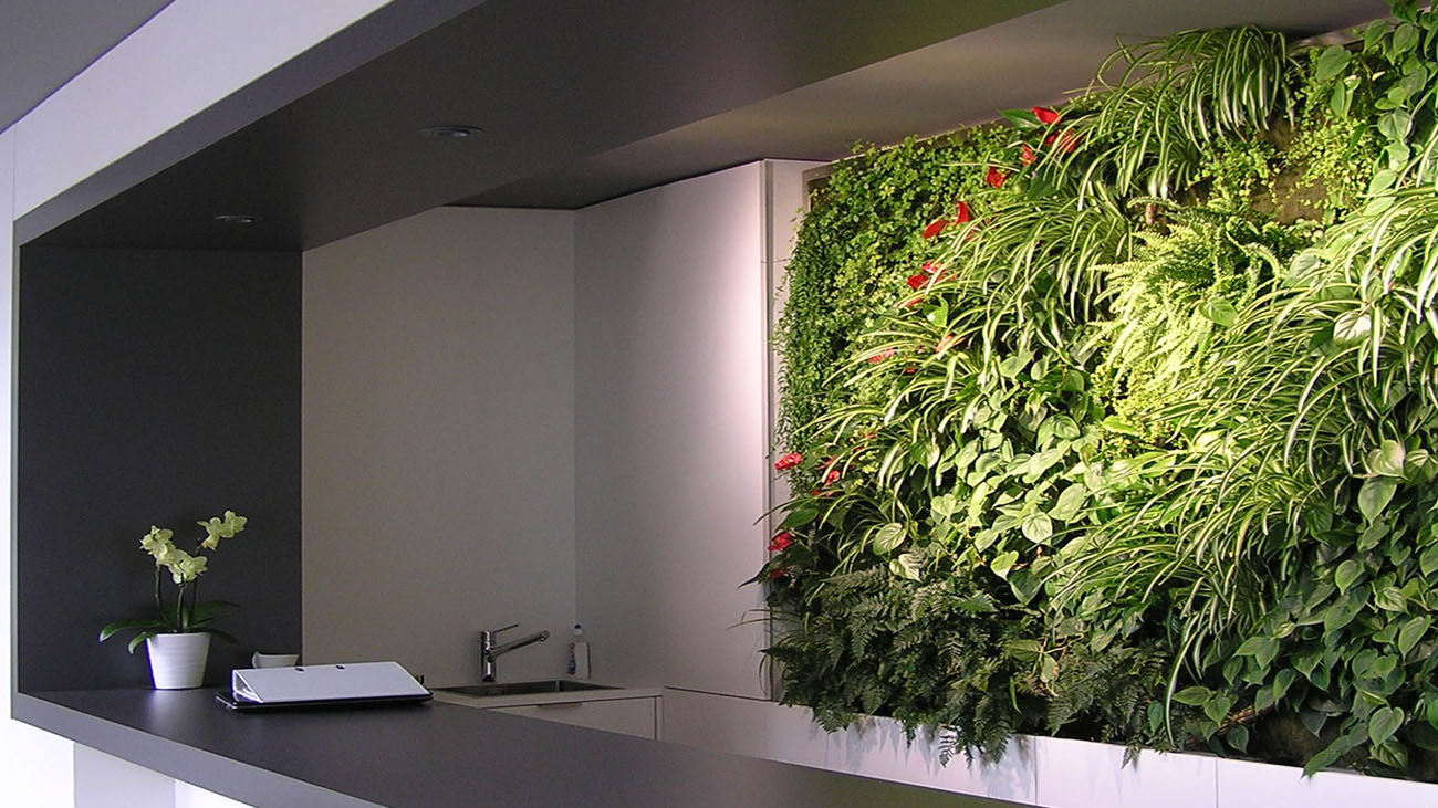 Кімнатні рослини в інтер'єрі: поєднання різних видів та розмірів рослин для створення гармонії