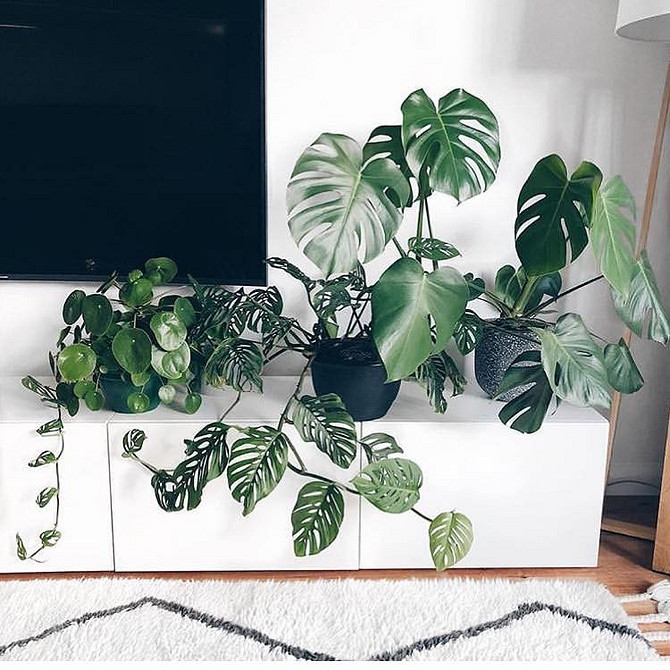 Сучасна вітальня з системою Бесто ІКЕА: стильний дизайн та зручне зберігання.