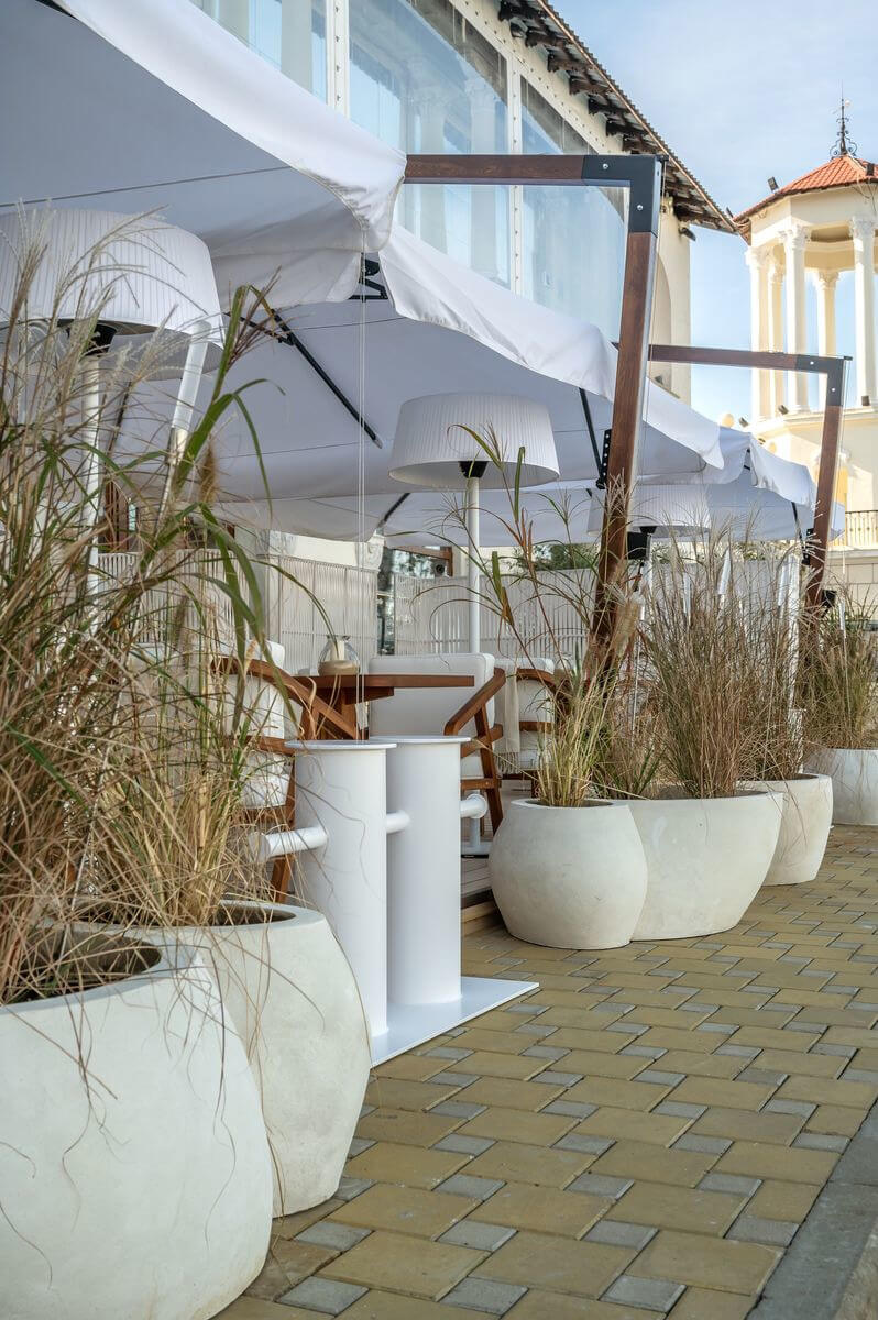 Бохо дизайн: велика кількість рослин, килимів, ковдр, подушок в світлій кімнаті.