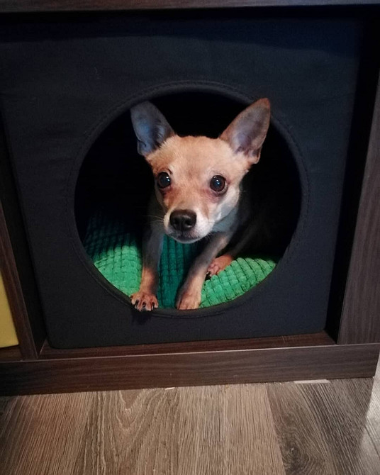 Оригінальні ідеї використання полиць та стелажів ІКЕА для організації домашнього простору