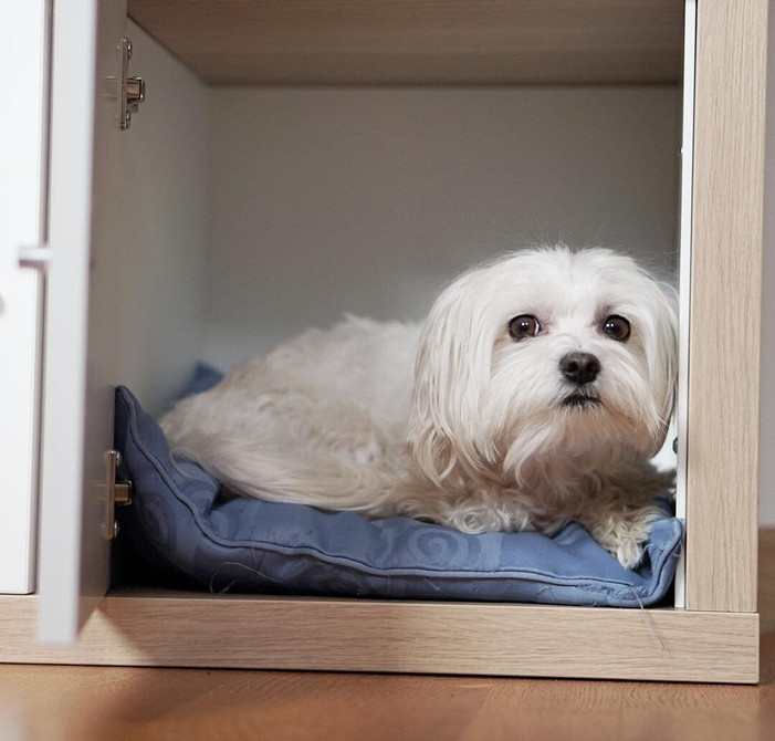 Креативні рішення з полицями та стелажами ІКЕА для організації зберігання в будинку