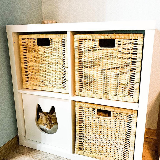 Дизайн інтер'єру: використання стелажів БІЛЛІ ІКЕА для створення затишку