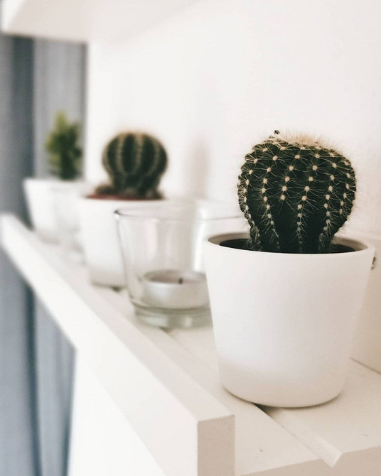 Кілька вузьких полиць IKEA на стіні: стильний декор та організація простору