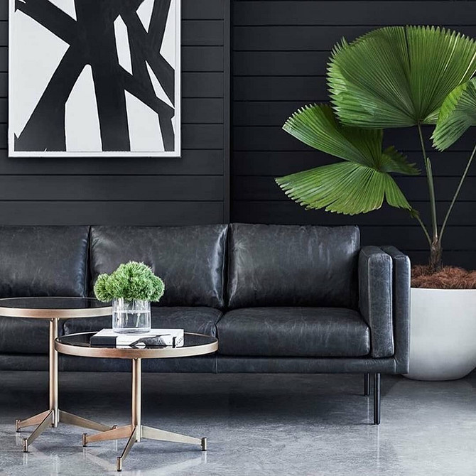 Темні меблі та світлий декор: гармонійне поєднання в дизайні інтер'єру кімнати.