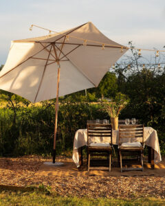 Садовий затишок: як обрати ідеальний навіс для вашої ділянки — Тінь в саду