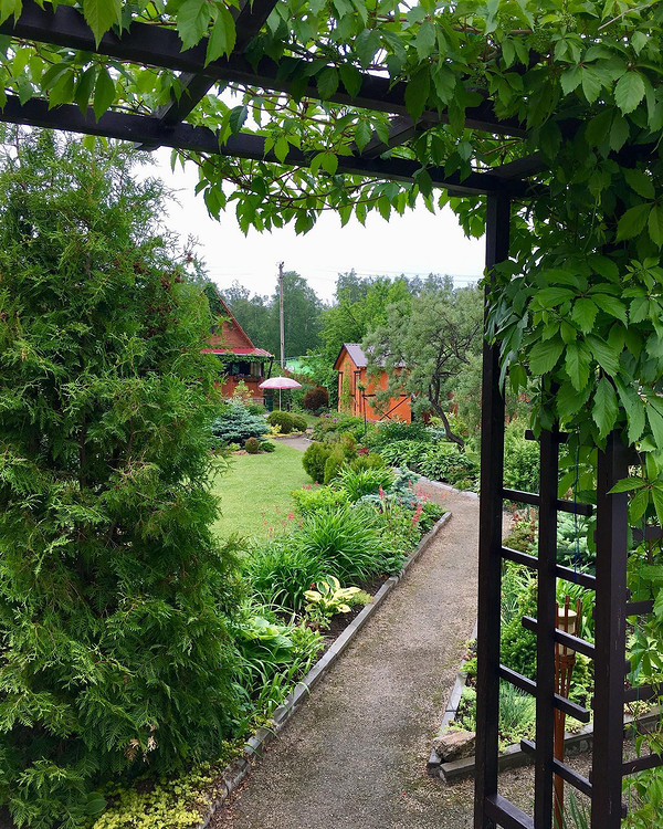 Сучасний садовий навіс, що забезпечує тінь і є елементом ландшафтного дизайну ділянки.