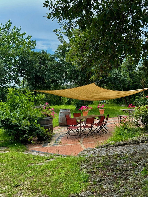 Елегантний садовий навіс, частина садовоі архітектури, що створює тінь і затишок.