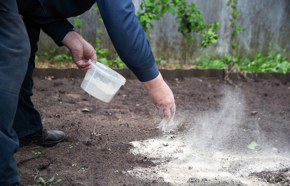 Підготовка саду до зими: збір листя, прибирання в саду у вересні.
