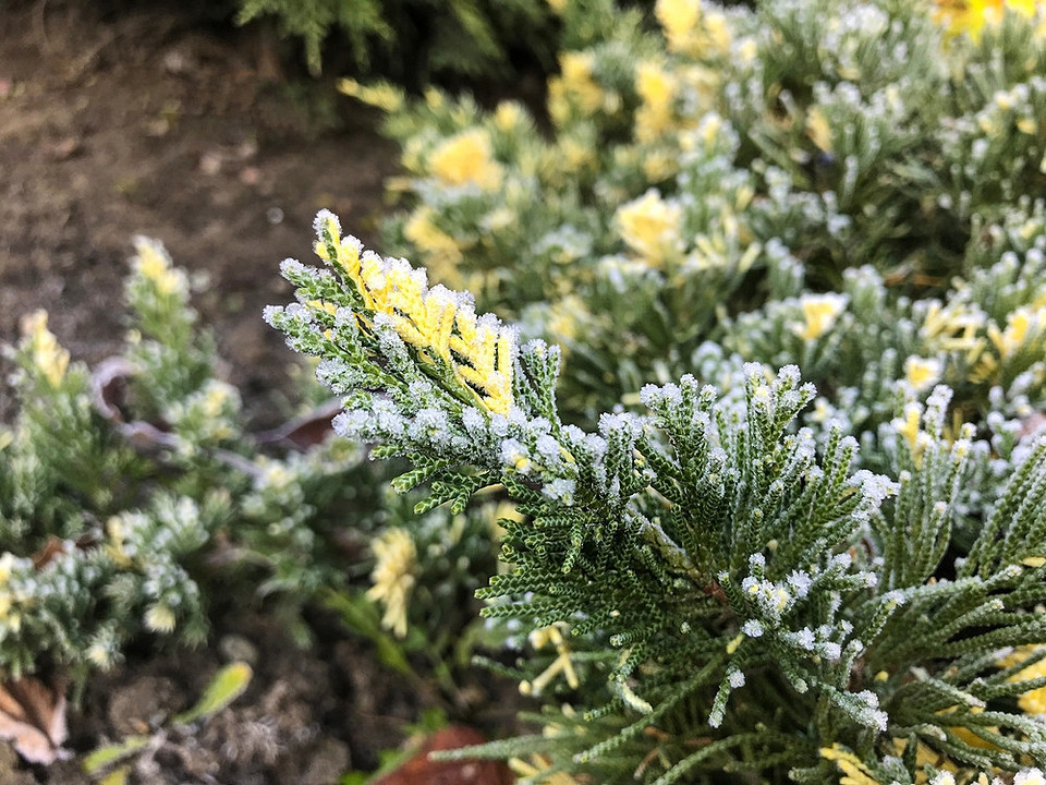 Консервація дачного будинку: основні етапи та помилки, яких слід уникати при підготовці до зими.