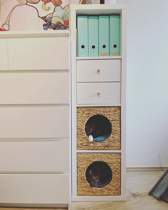 Перетворення стелажа Каллакс ІКЕА: прості та доступні ідеї для оновлення інтер'єру.