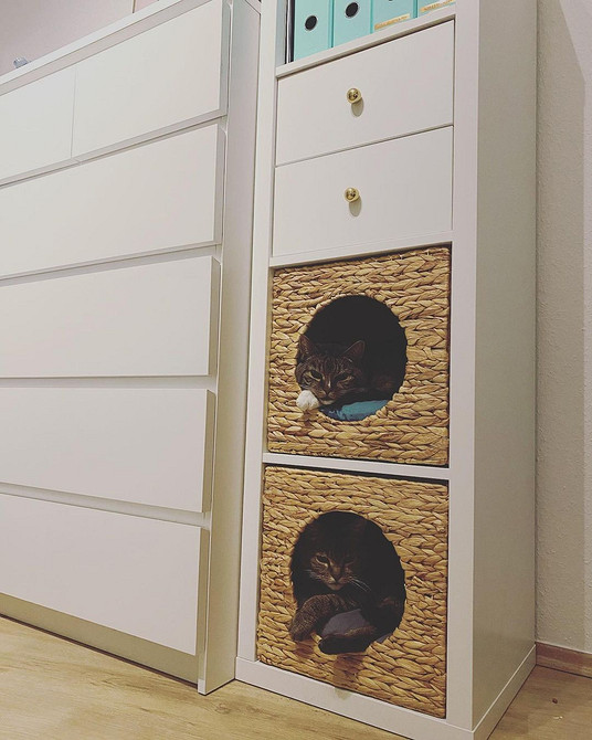 Ідеї переробки стелажа Каллакс ІКЕА: стильний дизайн своїми руками в інтер'єрі