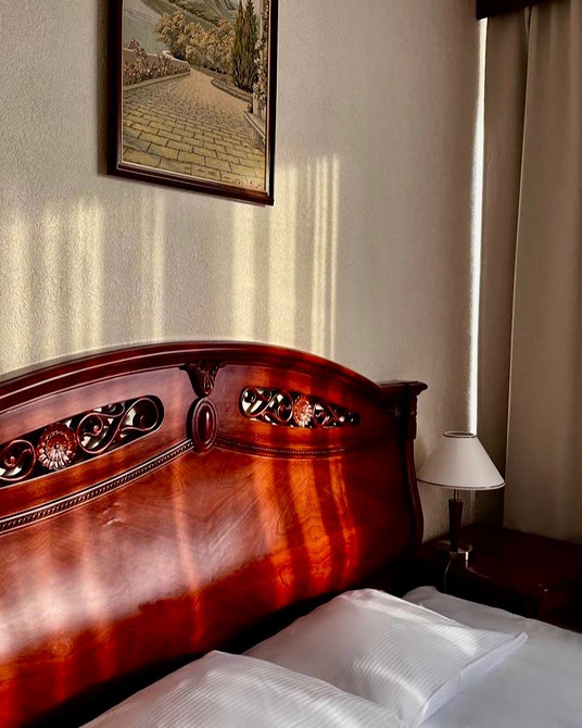 Інтер'єр вітальні з темними меблями та великими вікнами, що пропускають багато світла