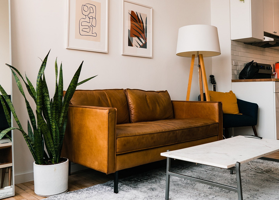 Стильний куточок вітальні з однотонним диваном та дерев'яним журнальним столиком