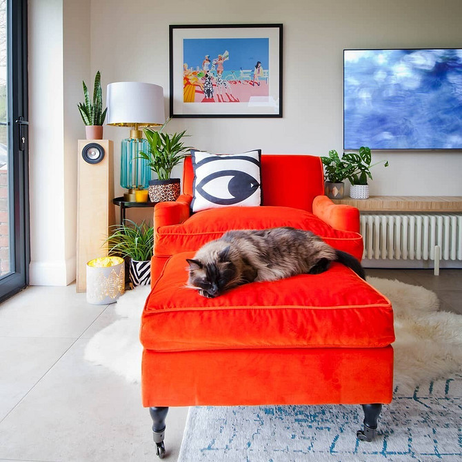 Дизайн інтер'єру з яскравими меблями, кольоровий диван та декоративні подушки