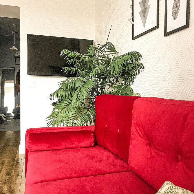 Яскравий диван в інтер'єрі, поради щодо поєднання кольорів в дизайні кімнати