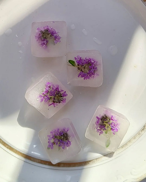 Сушка чебрецю: етапи правильної сушки для максимального збереження аромату та смаку