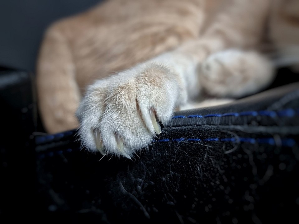 Популярні тканини для диванів: огляд матеріалів для перетяжки та догляду за ними