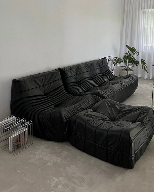 Інтер'єр з коричневим шкіряним диваном, дерев'яним журнальним столиком та зеленою рослиною