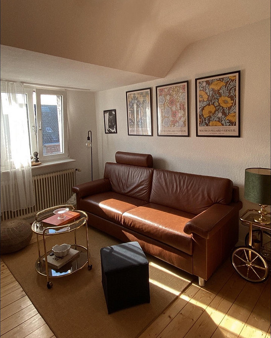 Сучасний інтер'єр вітальні зі шкіряним диваном: колір та дизайн