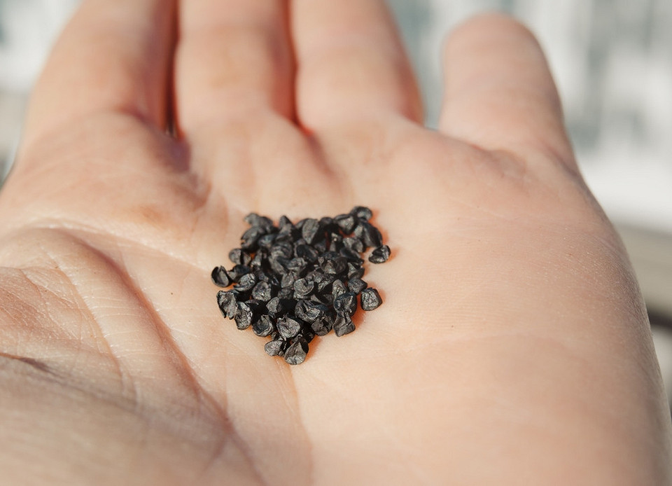 Зелений лук-батун росте на грядці, готовий до збору врожаю. Вирощування цибулі на городі.