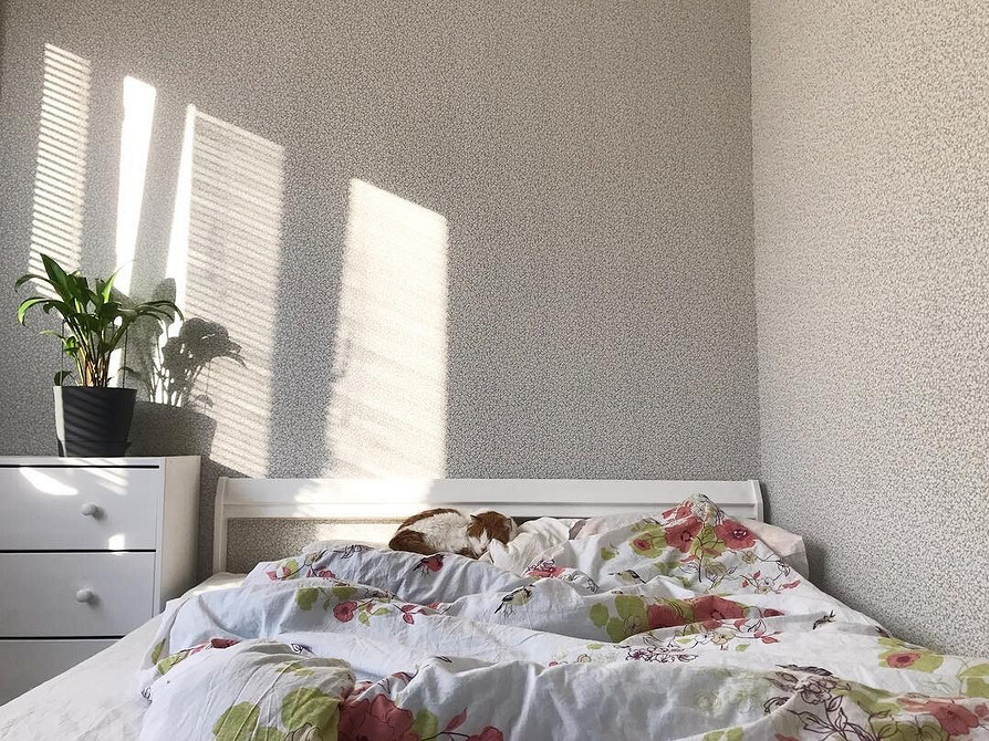 Ідеї для дому з меблями ІКЕА: бюджетні рішення для стильного інтер'єру до 3000 грн