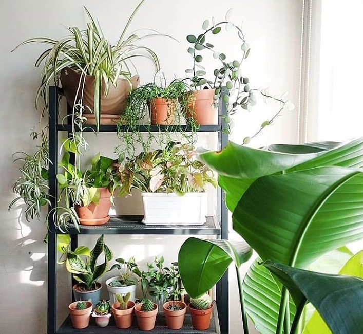 Стильні меблі ІКЕА до 3000 грн: ідеальне рішення для вашого дому