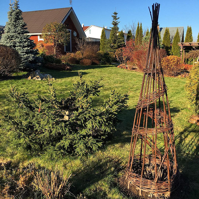 Підтримка для клематиса своїми руками з дерева, обвита зеленню