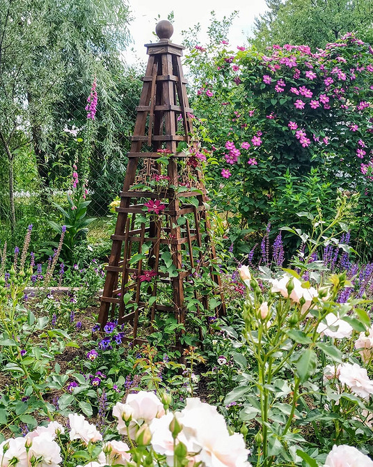 Креативна підтримка для витких рослин, зроблена своїми руками