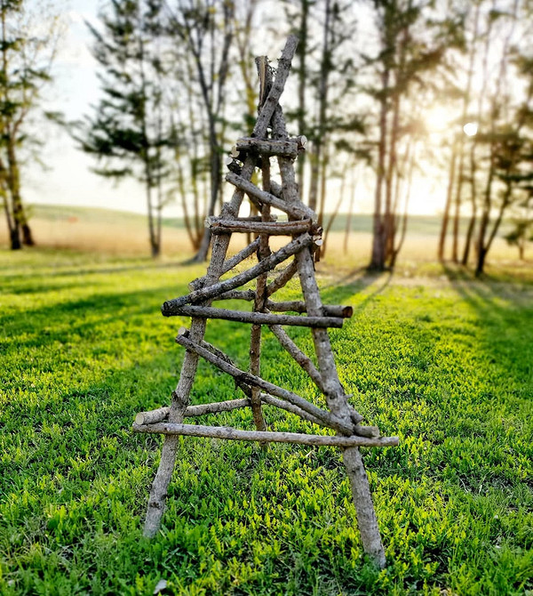 Підтримка для клематиса своїми руками з гілок дерев у саду