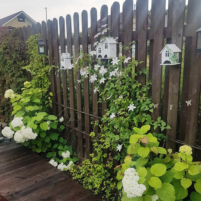 Ідея для самостійного виготовлення опори для клематиса: підтримка для садової ліани.