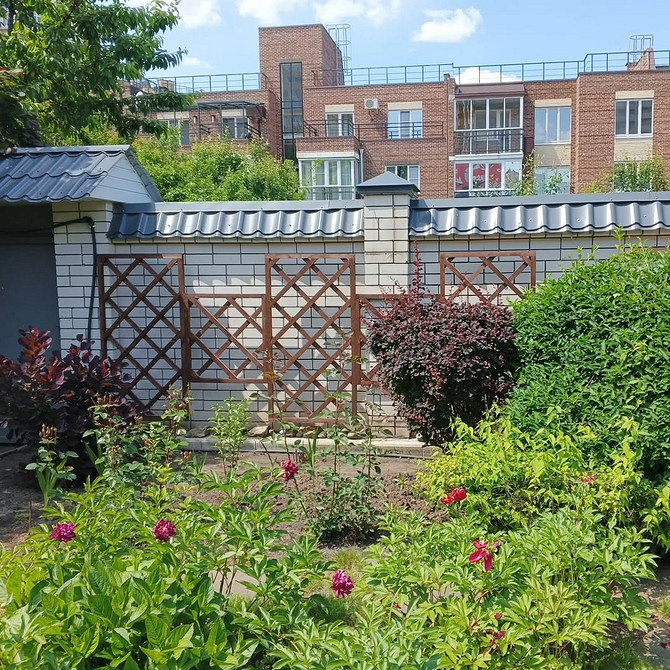 Саморобна опора для клематиса з гілок дерев, що створює природний вигляд.