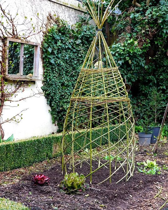 Садові конструкції: металева опора для витких рослин, клематисів