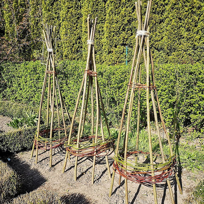 Пергола для клематиса своїми руками, увита квітучими клематисами