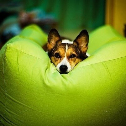 Креативні форми крісла-мішка: дизайн інтер'єру з м'якими меблями ручної роботи.