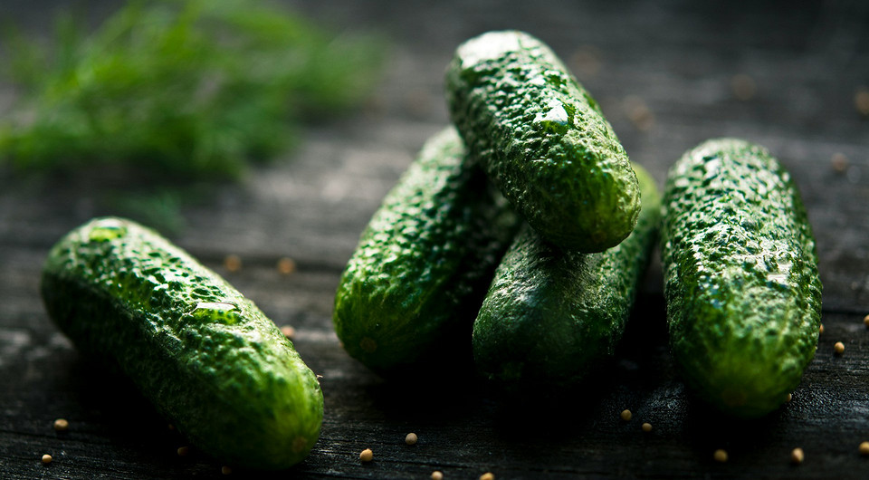 Різноманітні партенокарпічні сорти огірків, ідеальні для вирощування без запилення, демонструються на фото