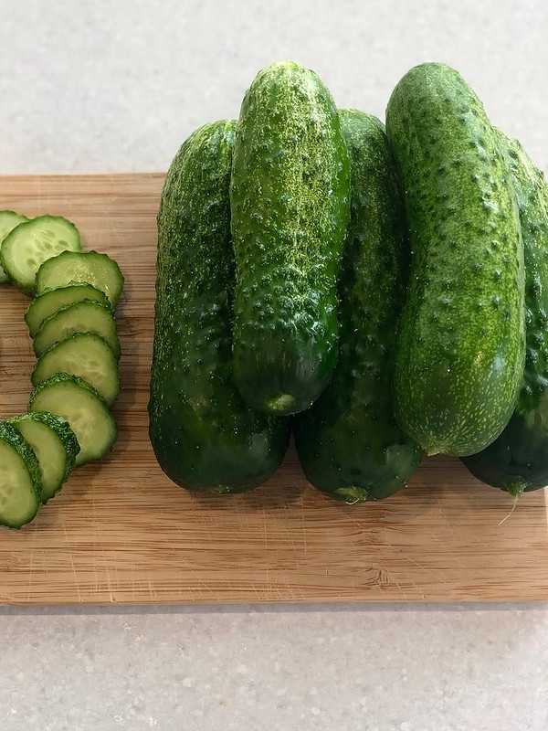 Ранні сорти огірків: переваги вирощування, чудовий урожай та особливості догляду