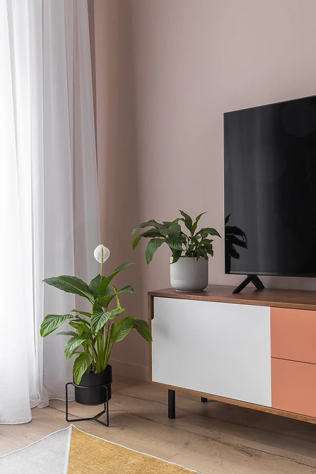 Стильна вітальня з кутовою тумбою під телевізор та м'якими меблями.