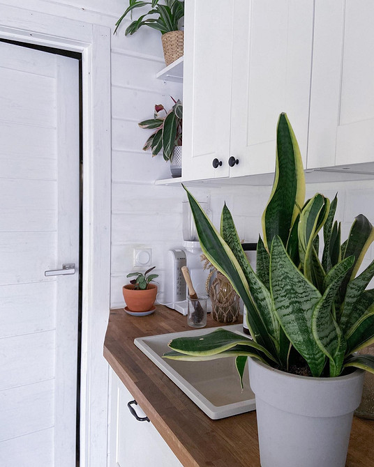 Варіанти обробки дубової стільниці: відтінки та текстури для різних інтер'єрів.