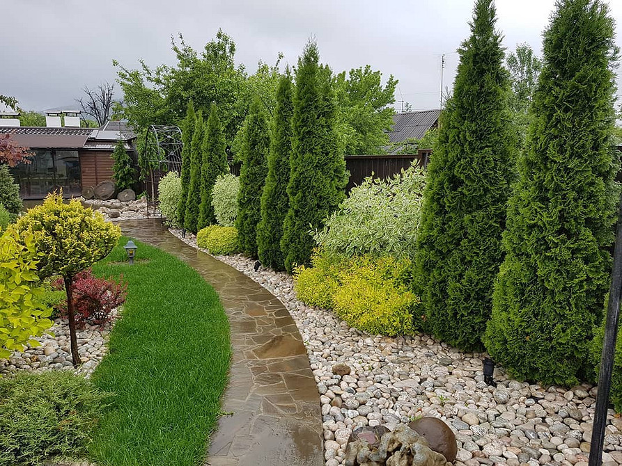 Ідеї для формування туї в саду: поєднання різних форм та розмірів хвойних.