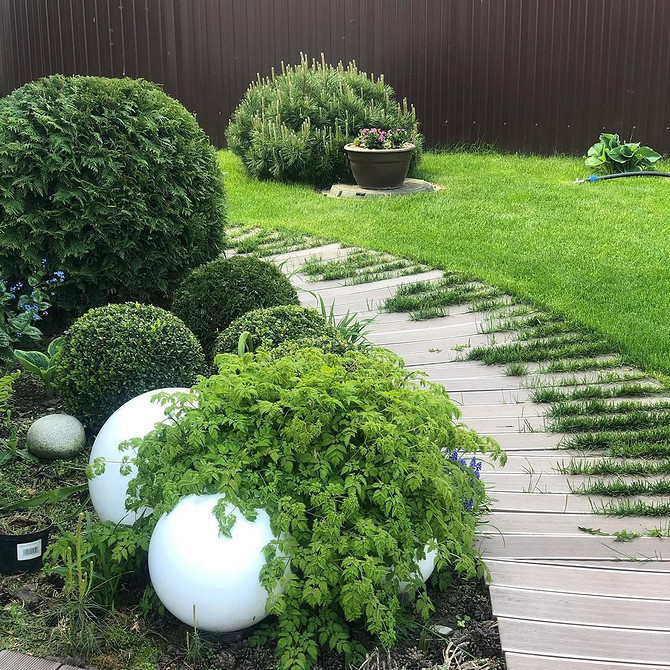 Туя Смарагд в ландшафтному дизайні: елегантний акцент на вашій ділянці